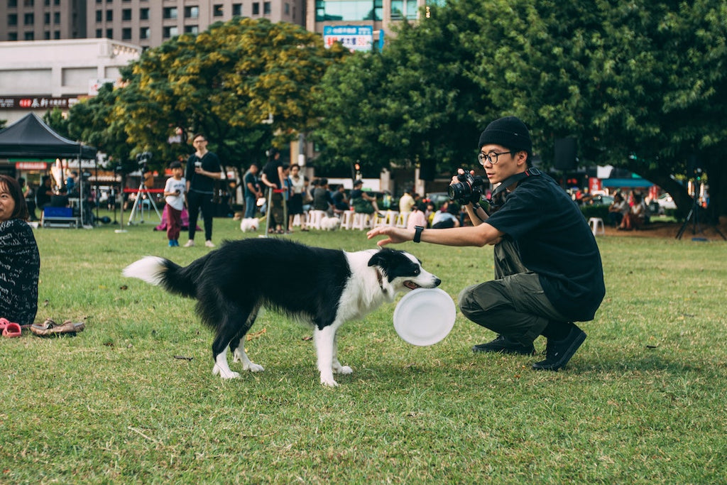 El adiestramiento de tu perro sí importa. ¿Tradicional o en positivo?