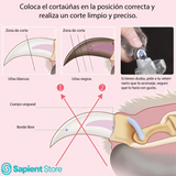 Cortaúñas para mascotas, profesional, ergonómico y con luz led